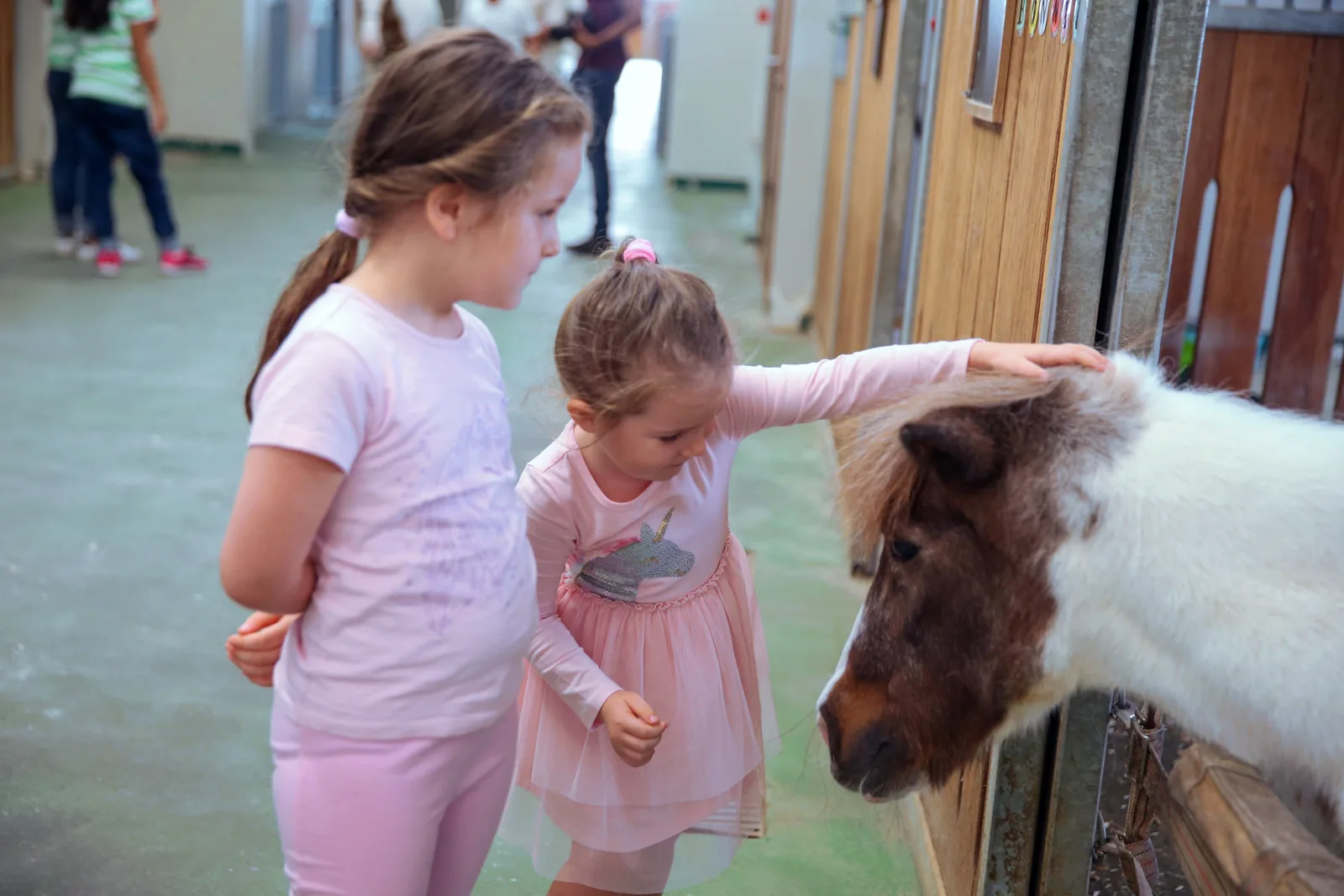 Two children meeting and gently stroking a pony